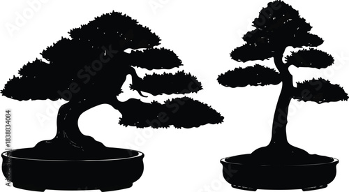 Bonsai tree silhouette, artistic foliage, shallow pot design, curved trunk, upright style, Japanese garden, minimal decor, nature art, zen balance