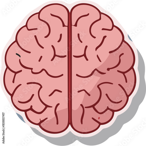 Stylized illustration of a pink human brain viewed from above with detailed cerebral cortex and a subtle shadow on a white background representing the central nervous system and thought processes
