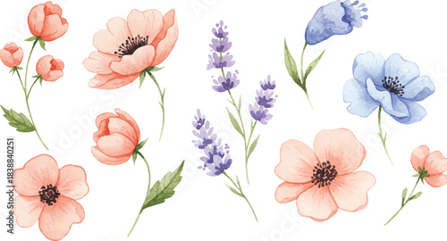Elegant watercolor floral collection with delicate poppies, vibrant lavender, and blooming buds in soft pastel hues, perfect for design projects, invitations, and charming spring compositions.