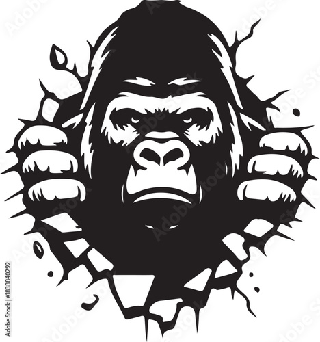 Fierce gorilla head breaking through wall black and white vector graphic