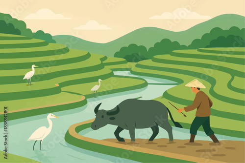 Traditional Rice Paddy Wetland Farming Flat Vector