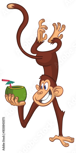 Cartoon funny monkey chimpanzee upside down drinking coconut cocktail. Vector illustration isolated on white