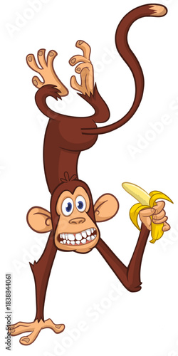 Cartoon funny monkey chimpanzee standing upside down. with banaha in the hand Vector illustration isolated on white