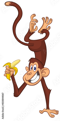 Cartoon funny monkey chimpanzee standing upside down. with banaha in the hand Vector illustration isolated on white