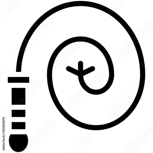 Whip Icon