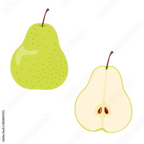 洋梨1個と断面のイラストセット