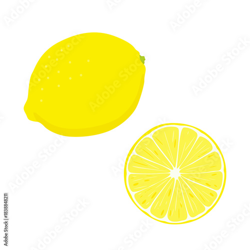 レモン1個と断面のイラストセット
