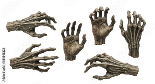 Set of spooky skeleton hands reaching out transparent background cutout png