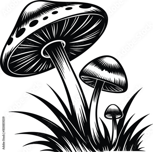 Black and White Illustration of Three Mushrooms Growing in Grass fungi nature