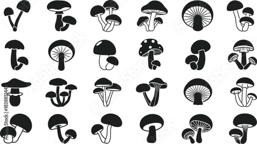 Collection of various black and white mushroom silhouette icons for nature design