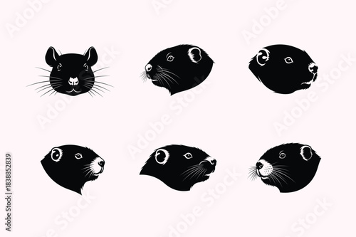 Vintage illustration of chinchilla heads in a repeating pattern on a light background