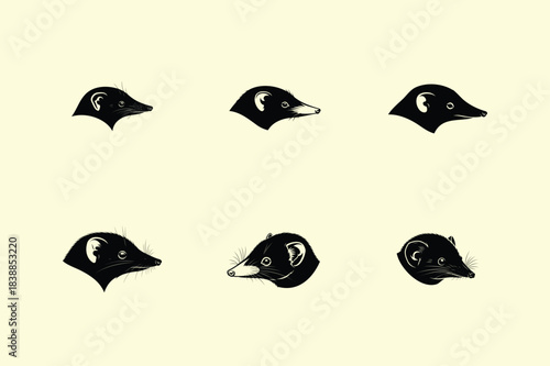 Vintage anatomical illustration of human teeth in a detailed scientific style