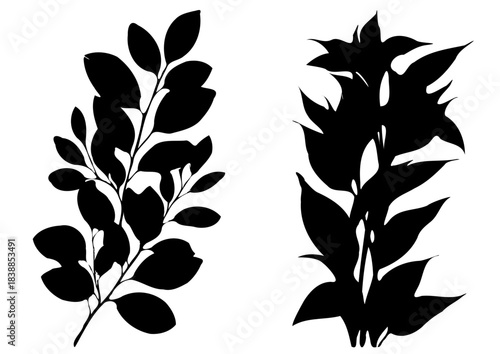 Conjunto de siluetas de ramas y hojas negras aisladas sobre fondo blanco. Ilustración botánica de follaje diverso, estilo minimalista y plano para diseño gráfico.