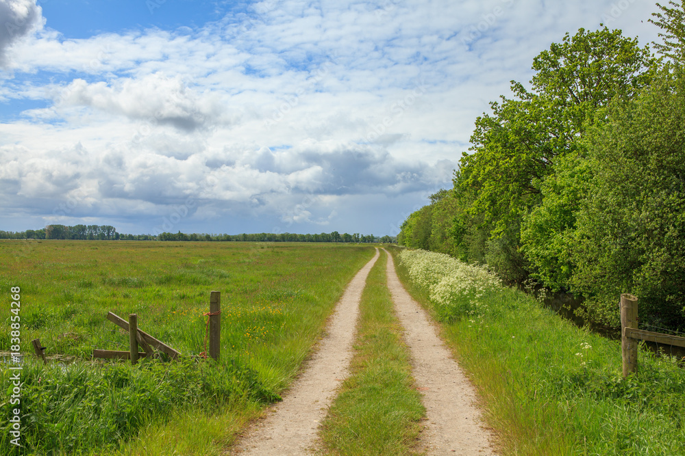 Fototapeta premium Dirt road and fields in Dutch countryside