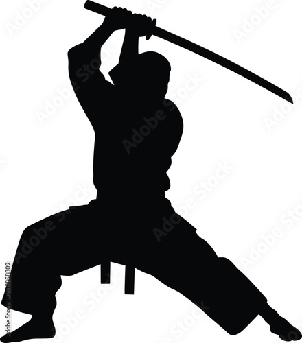 Martial arts silhouette, sword raised, dynamic pose, katana technique, black and white, combat stance, warrior spirit, action motion, samurai style, discipline