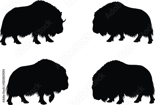 Musk ox silhouette vector, wild animal clipart, shaggy fur graphic, black livestock icon, isolated tundra mammal pose design