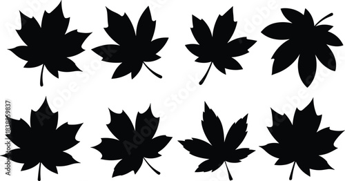 Maple leaf silhouette collection showing various shapes and edges in black design for nature, autumn and botanical themes, cad drawing flat vector illustration