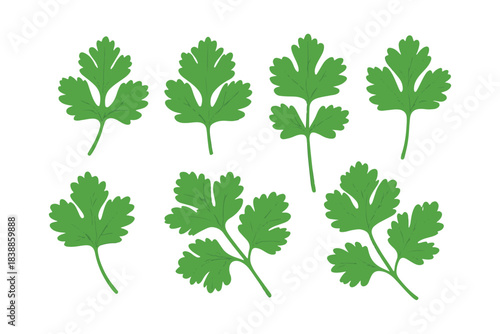 cartoon coriander leaves illustration collections