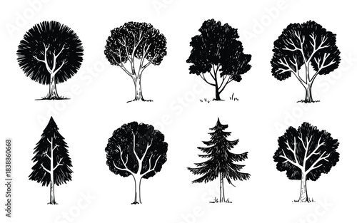 Stylized Single Tree Silhouette Illustration