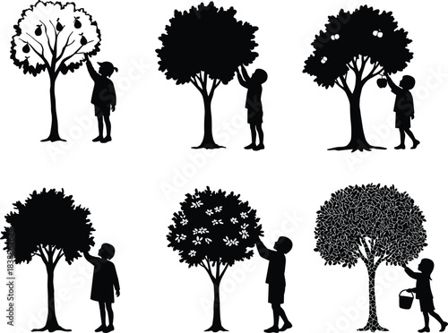 Silhouette children picking fruit from trees in nature garden scene, harvesting plants and blossoms in outdoor orchard environment, cad drawing flat vector illustration