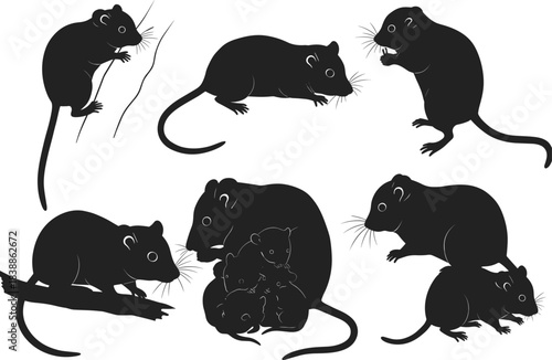 Rodent silhouette set showing climbing, walking, grooming, and family group poses, ideal for animal behavior, biology, and pest control themes