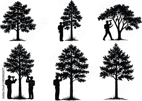 Silhouette nature scene with hiker observing trees, forest exploration artwork featuring tall pine trees and outdoor adventure concept design, cad drawing flat vector illustration