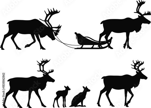 Reindeer sled silhouette, Arctic wildlife vector, fox and fawn clipart, winter animal graphic, black isolated transport scene design