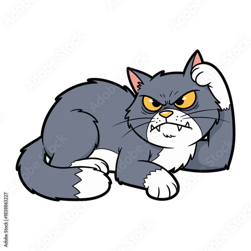 expression of a fierce cat character angry