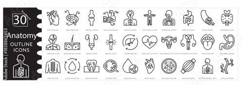 Medical Anatomy Vector Icon Set. Human Body, Organs, and Healthcare Symbols. Health, Medicine Line Icons .Diagnosis, Treatment, Clinic, and Hospital Elements, Human Anatomy Illustration Pack.