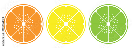 Citrus Fruit Vector Set – Orange, Lemon and Lime Slices Illustration Collection.