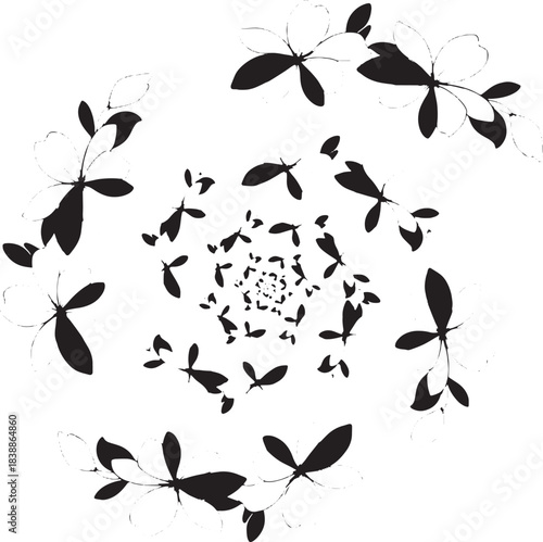 Swirling pattern of black and white flower petals spiral