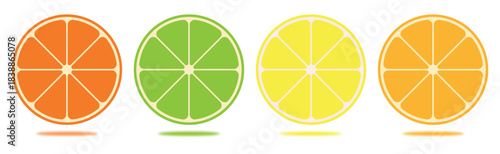Citrus Slice Illustration Bundle – Vibrant Fruit Icons for Banner and Design.