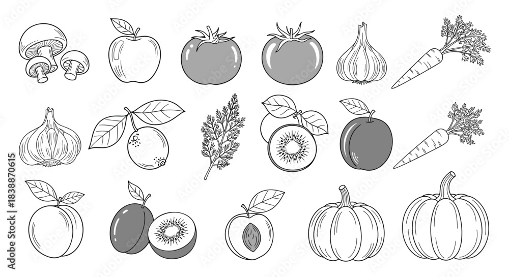 Fototapeta premium A diverse collection of fresh fruits and vegetables, some outlined and some shaded, perfect for healthy eating and natural food concepts.