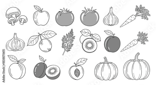 A diverse collection of fresh fruits and vegetables, some outlined and some shaded, perfect for healthy eating and natural food concepts.