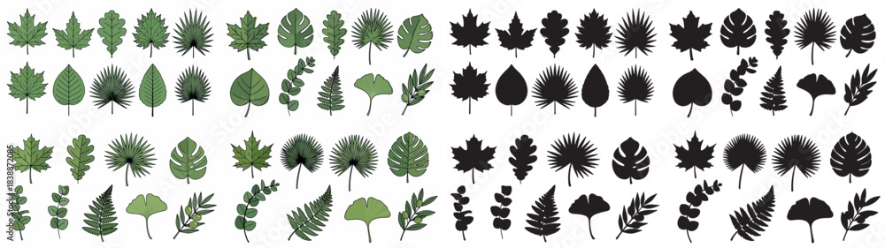 Fototapeta premium Leaf collection with transparent background