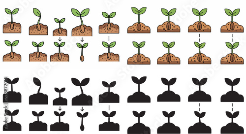 Plant growth stages diagram with transparent background