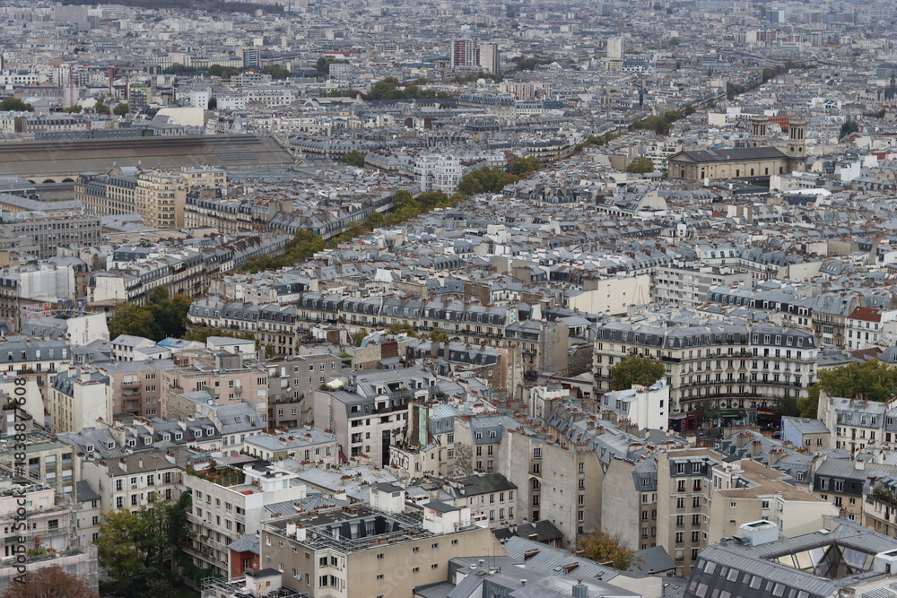 Obraz premium View over rooftops and landmarks in central Paris