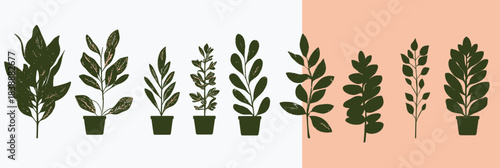 Set of various potted green leafy plants with detailed flat minimalist vector style isolated on white and peach backgrounds for botanical decoration and nature design elements illustration