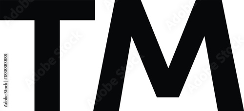 Bold Black Trademark Symbol TM on a White Background logo brand