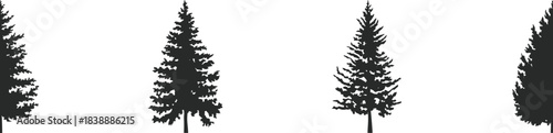 Black and white pine tree silhouette illustration featuring evergreen forest shapes, simple minimal conifer design for nature, outdoor and woodland themes