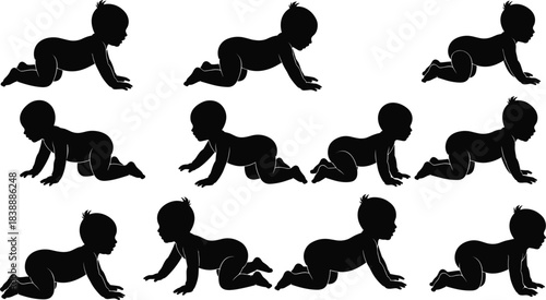 Silhouette of a Baby Crawling in Various Positions on a White Background Keywords: baby, infant, child, silhouette, crawling