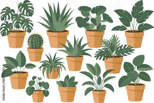 Collection of indoor potted plants illustration featuring tropical houseplants, succulents, cacti, leafy greenery in terracotta pots for home decor design