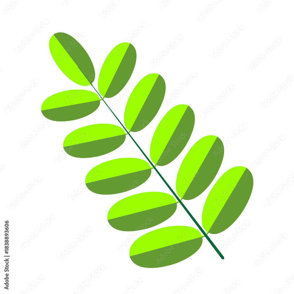 Obraz premium Simple Green Compound Leaf Flat Design Graphic | Modern Botanical Illustration Single Branch Gray Background | Fresh Spring Nature Element Stylized Vector Artwork