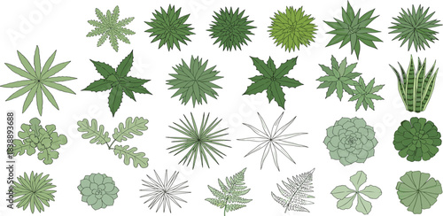 Aerial view of various green plants and trees, top-down perspective collection