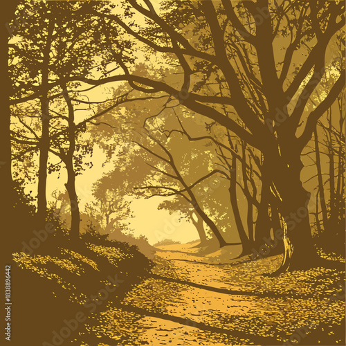 sunrise in the forest