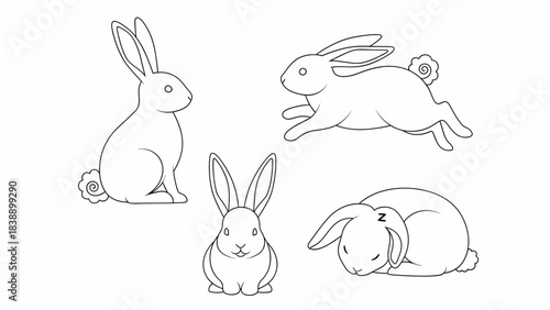Four black and white line art drawings of rabbits in various poses.
