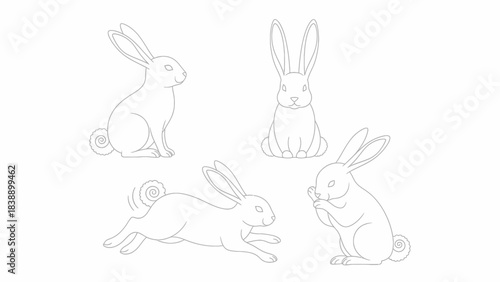 Line art illustrations of rabbits in various poses, including sitting, running, and front view, on a white background.