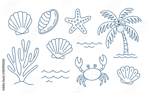 Hand-Drawn Tropical Coconut Tree and Shells