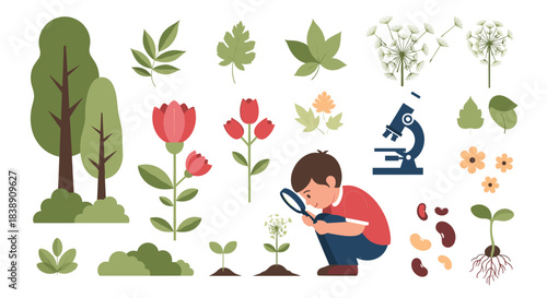 Child explores botany with magnifying glass, surrounded by diverse plants, flowers, seeds, trees, and a microscope, illustrating nature and science education.