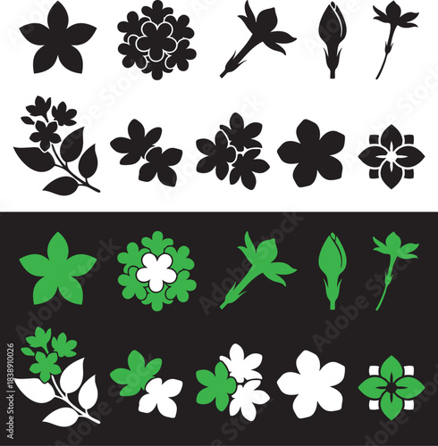 Jasmine flowers set isolated vector background. Branch with buds and leaves vector illustration,
